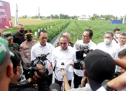 Sinergi Bank Indonesia Dan TIPE Provinsi Sumatera Utara Dukung pengendalian Inflansi Pangan