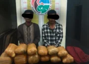 Modus Pakai Baju Koko Dua Kurir Ganja Asal Padang Sidempuan Ditangkap