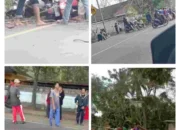 Tertimpa Pohon, Salah Satu Korban Meninggal Dunia