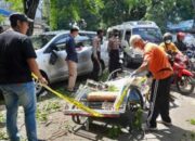 Pohon Tumbang Terwaskan Warga di Probolinggo, Polisi Periksa 5 Saksi