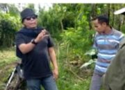 LSM Bersama Jajaran Kepemerintahan Hentikan Aksi Pembalakan Liar Hutan Lindung