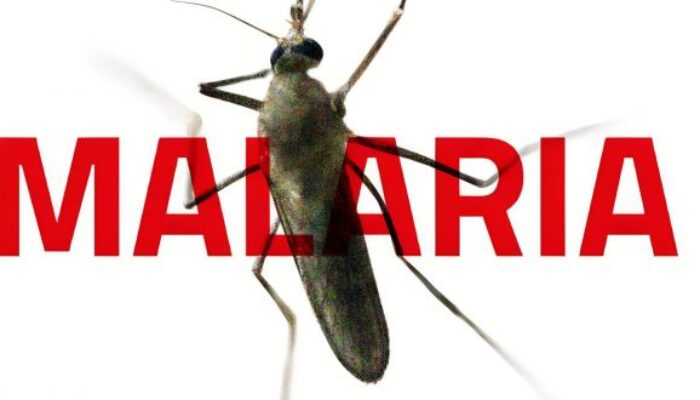 Waspada, Kasus Malaria di Boltim Meningkat !