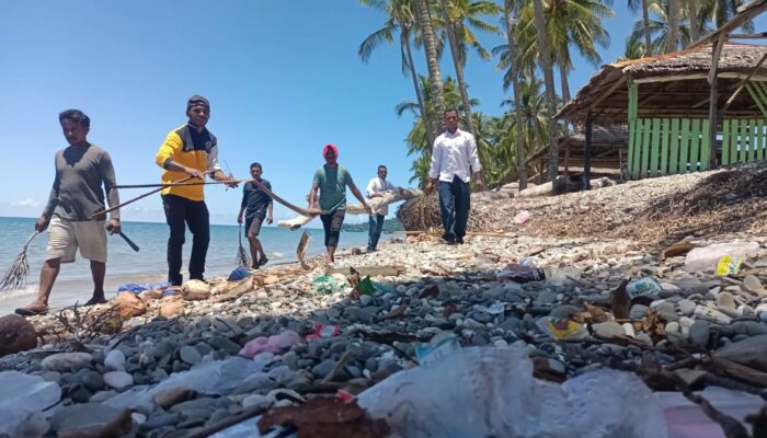 Sambut Harla ke-21 Tahun, BNN Bursel Gelar Baksos Bersih Pantai Wisata Desa Wally