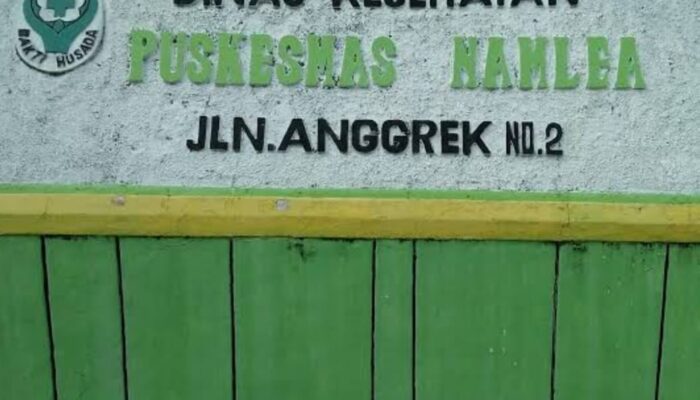 TPP Belum Dibayarkan Pemda Buru, Belasan Dokter Mogok Kerja