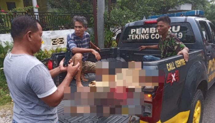 Kecelakaan Maut Di Kuansing, Pasutri Tewas Terlindas Truk Tronton