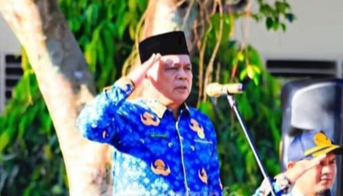 Puncak HKN, Bupati Labuhanbatu Ingatkan ASN Tingkatkan Disiplin