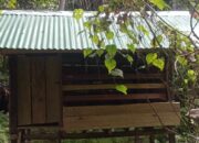 Kandang Ternak Kambing di Desa Luhu, Dinilai Proyek Cari Untung