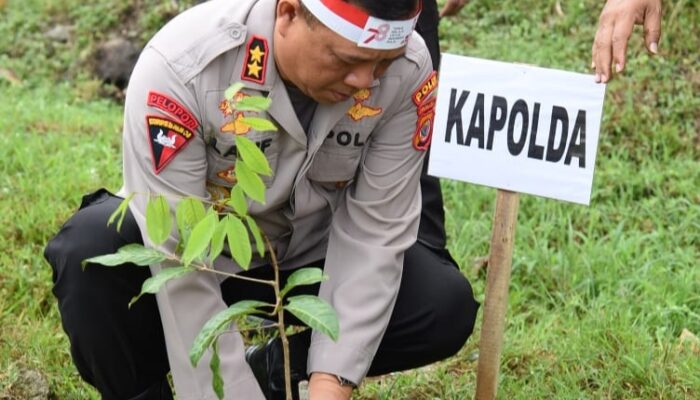 Hijaukan Wilayah Tandus, Polda Maluku Tanam 1000 Pohon