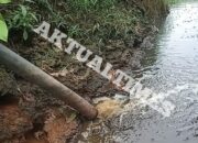Tujuh Tahun Lebih Perusahaan Sawit Ini Cemari Sungai, Warga: Sepertinya Mereka Sengaja