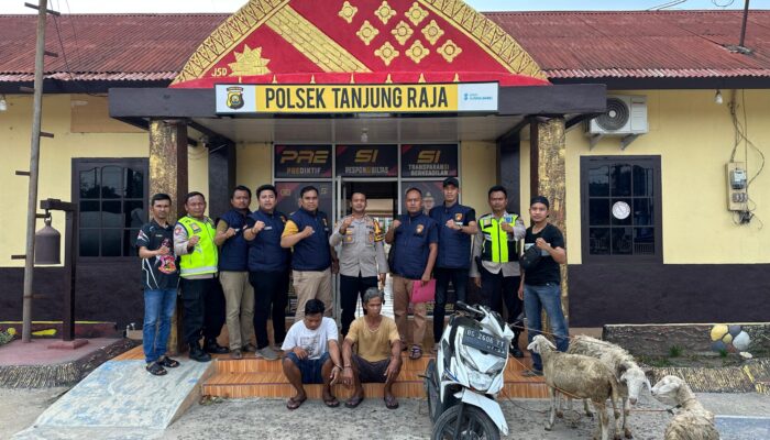 Bawa Kabur Tiga Ekor Kambing, Pelaku Diciduk Team Rajawali Unit Reskrim Polsek Tanjung Raja