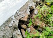 LSM Gasak Lam-Bar Surati Dinas PUPR Dan Akan Segera Lapor APH