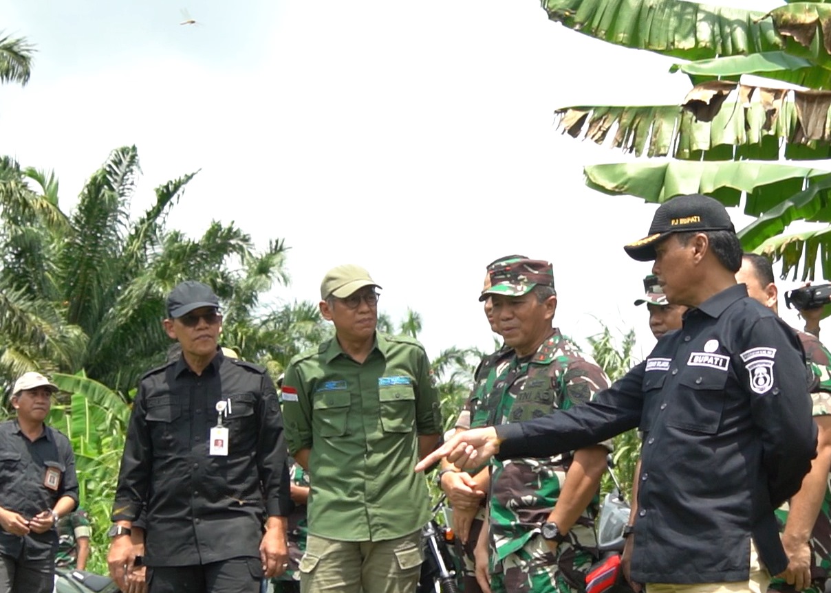 Lahan Rawa Di OKI
