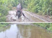 Jalan Berlubang di Kecamatan Huamual Tergenang Air, Pengendara Diminta Hati- Hati Saat Melintas