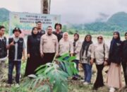 Pemda Bursel Tanam Anakan Pohon di Bentaran Sungai Waetina, Minta Warga Rawat