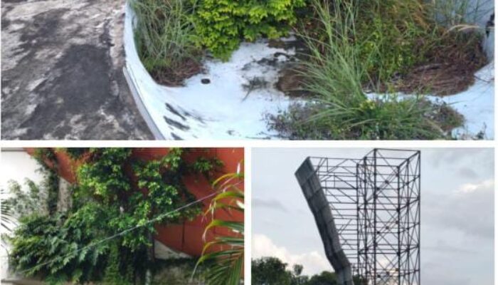 Tak Terawat, Gor Perahu Kajang dan  Tempat Bermain Skateboard, Kab OKI Sudah Menjadi Belukar