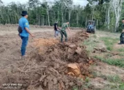 TNI Bersama Rakyat, TMMD Ke-128 Sulap Lahan 1,5 Hektar Jadi Kebun Jagung Produktif