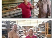 Peternak Puyuh Padangsidimpuan Berharap Program MBG Jadi Penyelamat Usaha Rakyat.