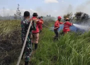 Babinsa Koramil 402-07/ Indralaya   Bersama Tim Gabungan  Lakukan Penanganan  Karhutla Di Desa Rambutan