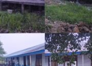 Proyek Cetak Sawah Di Kabupaten OKI Di Sorot, Sulap Sekolah Jadi Direksi Keet Pekerja Dan Logistik.