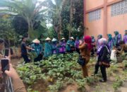 Ketua TP PKK Tanggamus Kunjungan ke Pekon Sukabandung