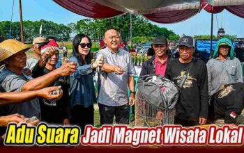 Lomba Perkutut Mataram Pringsewu 2026