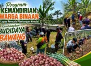 Lapas Pemuda Plantungan Kendal Kembangkan Budidaya Bawang Merah dan Putih di Lahan Produktif