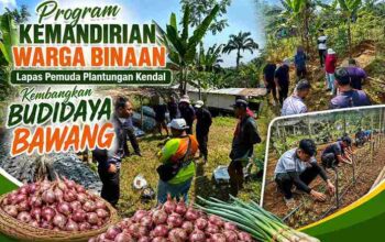 Lapas Pemuda Plantungan. Budidaya Bawang