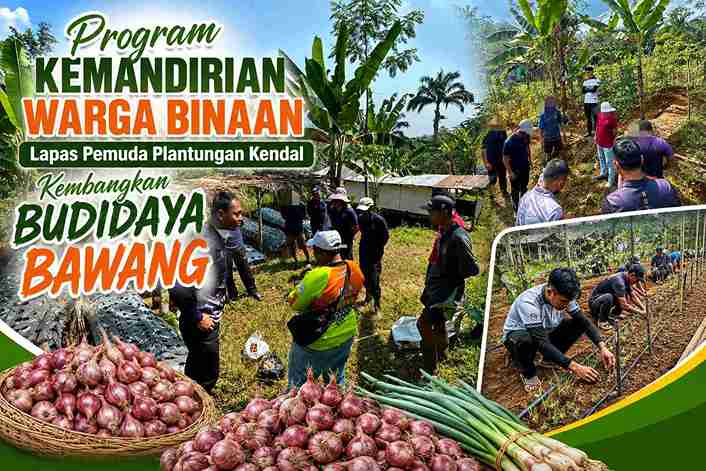 Lapas Pemuda Plantungan. Budidaya Bawang