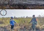 Babinsa Koramil 402-13/Sungai Menang Berjibaku Padamkan Karhutla di Desa Sungai Tepuk
