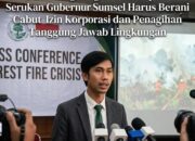 Aktivis Lingkungan Dodi Saputra Serukan Gubernur Sumsel Harus Berani Cabut Izin Korporasi dan Penagihan Tanggung Jawab Lingkungan.