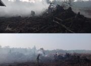 Babinsa  Koramil 402-11/Tulung Selapan  Kembali Berjibaku Padamkan Karhutla Di Desa Penanggoan Duren