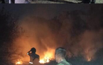 Berjibaku Padamkan  Sijago Merah Babinsa  Dan BPBD Berhasil Kendalikan Karhutla Di Arisan Jaya