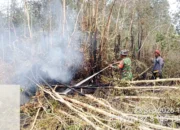 Babinsa 402-11/Tl Selapan Gerak Cepat Tangani Karhutla di Pulo Beruang, 30 Hektare Lahan Terbakar