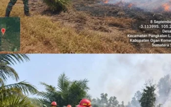 Babinsa Berjibaku Jinakkan Api, 8 Hektare Lahan di Desa Riding Berhasil Dipadamkan