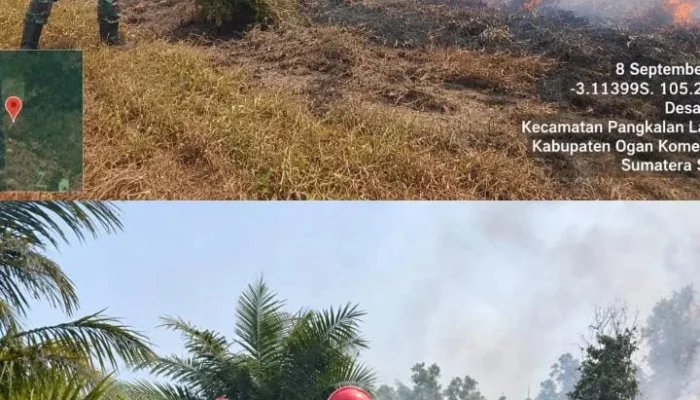 Babinsa Berjibaku Jinakkan Api, 8 Hektare Lahan di Desa Riding Berhasil Dipadamkan