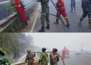 Babinsa Koramil Indralaya Bersama Tim Gabungan dan Personel Batalyon TP 949/DR Padamkan Karhutla di Sungai Rambutan