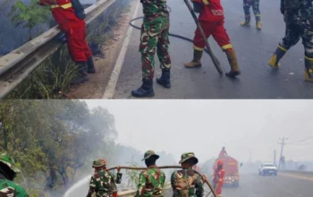 Babinsa Koramil Indralaya Bersama Tim Gabungan dan Personel Batalyon TP 949/DR Padamkan Karhutla di Sungai Rambutan