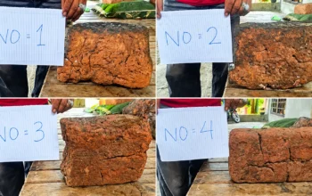 Batu Bata Kuno Ditemukan di Lemahduhur Karawang, Warga Minta Ahli Turun Meneliti