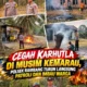 Cegah Karhutlah di Musim Kemarau, Polsek Rambang Turun Langsung Patroli dan Imbau Warga