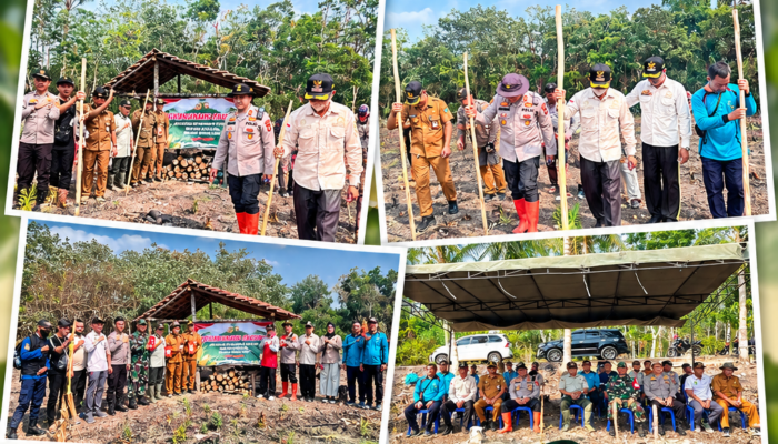 Dukung Swasembada Pangan, Polsek Rambang Gelar Penanaman Jagung Kwartal III di Desa Tanjung Dalam