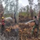 Koramil 402-11/Tulung Selapan Bersama Tim Gabungan Padamkan Karhutla di SP3 Sakti