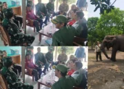 Menhut Tinjau Karhutla SM Padang Sugihan, Kolaborasi Multipihak Perkuat Pemadaman
