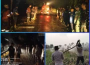 Operasi 11 Jam Hingga Tengah Malam, Tim Gabungan Berhasil Padamkan Karhutla di Ibul Besar 1