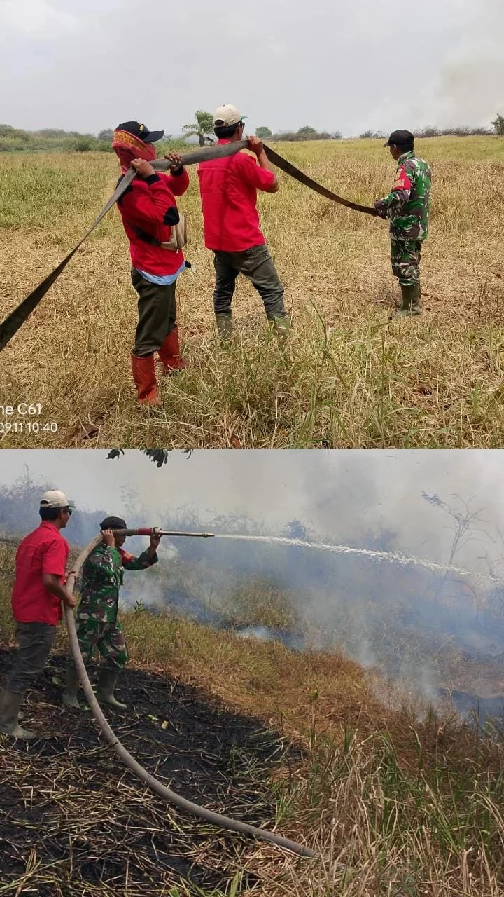 Pantang Menyerah, Babinsa 402-02/Pedamaran Kendalikan Karhutla di Pedamaran V