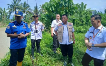 Sekda Tanggamus Tinjau Tanggul Pasca Jebol