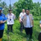 Sekda Tanggamus Tinjau Tanggul Pasca Jebol