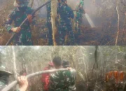 Sigap dan  Pantang menyerah, Satgas Karhutlah  Koramil 402-08/Pampangan Padamkan Api di Desa Sungai Bungin