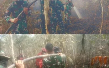 Sigap dan  Pantang menyerah, Satgas Karhutlah  Koramil 402-08/Pampangan Padamkan Api di Desa Sungai Bungin