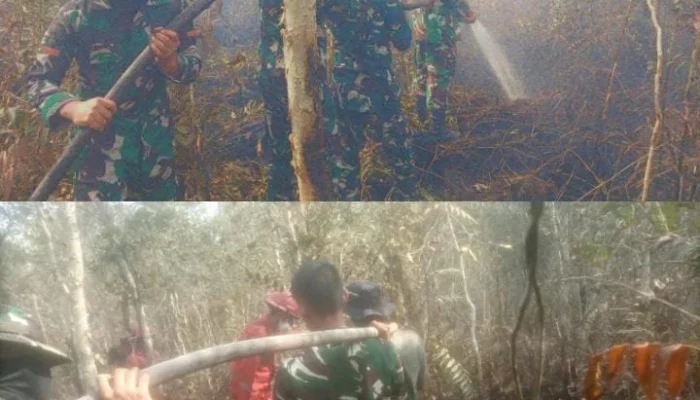 Sigap dan  Pantang menyerah, Satgas Karhutlah  Koramil 402-08/Pampangan Padamkan Api di Desa Sungai Bungin
