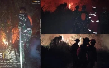 Tak Kenal Lelah, Tim Gabungan Lakukan Pemadaman Karhutla di Desa Sungai Rambutan, Indralaya Utara